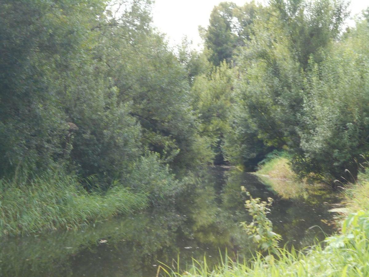 Fewo Fleckeby An Der Schlei Apartment Bagian luar foto